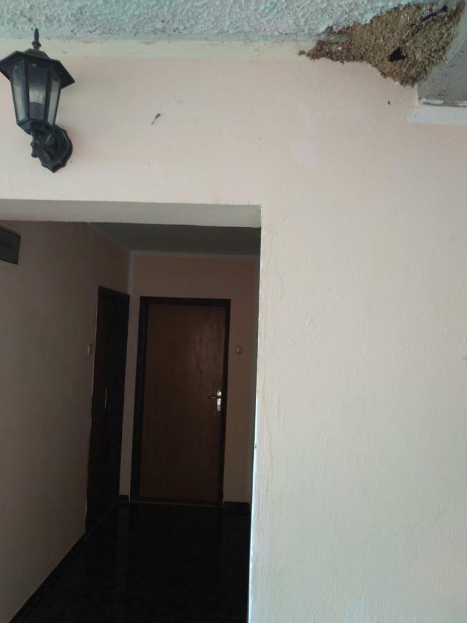 Sunny Hostel