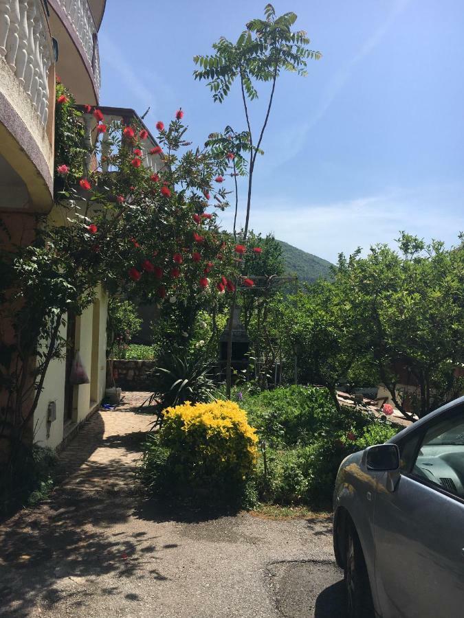 Sunny Hostel